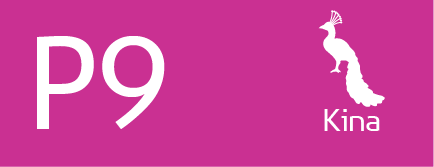 P9 KINA STANDARD 