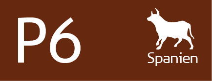 P6 SPAIN STANDARD